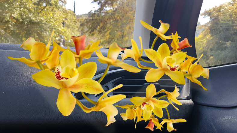 klimatizácia v aute, z ktorej vychádzajú animované žlté kvety